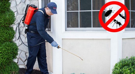 Beyağaç Gümüşkurt İlaçlama böcek ilaçlama ve haşere kontrolü — ilaclama-tr.com